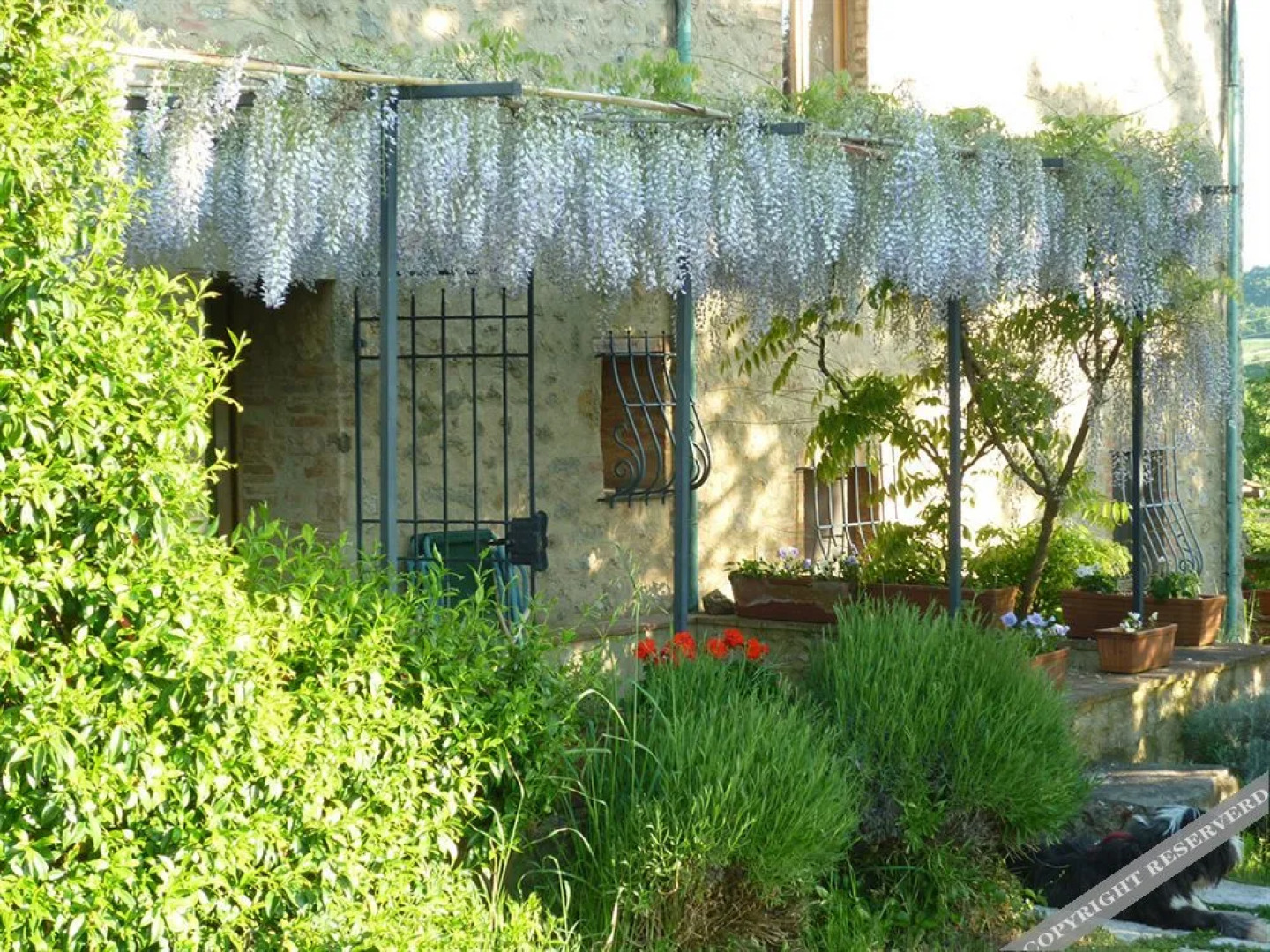 Agriturismo Apparita