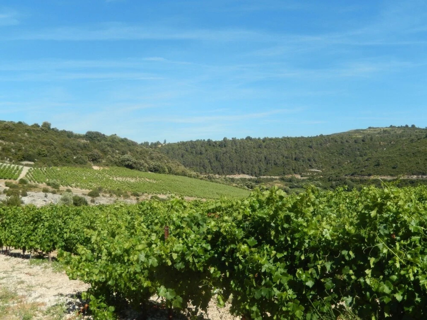 Villa With 3 Bedrooms in La Redorte, With Private Pool, Enclosed Garde