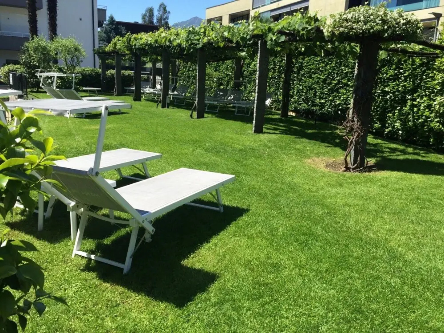 Ascona Lodge, Pool & Garden Retreat