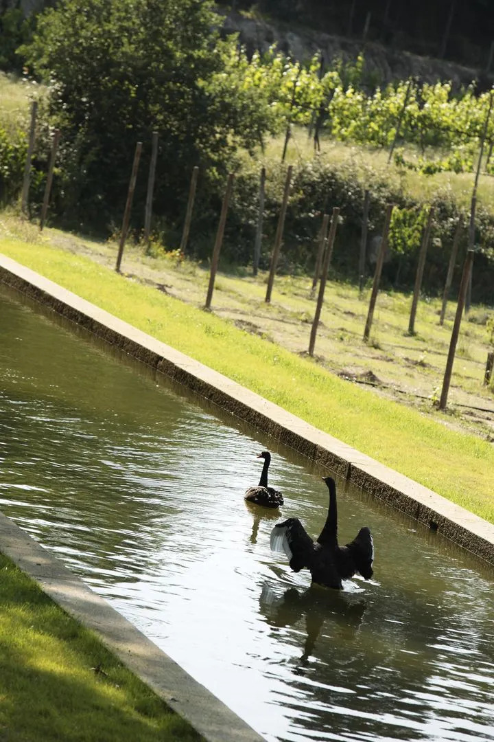 Casa de Juste - Lousada