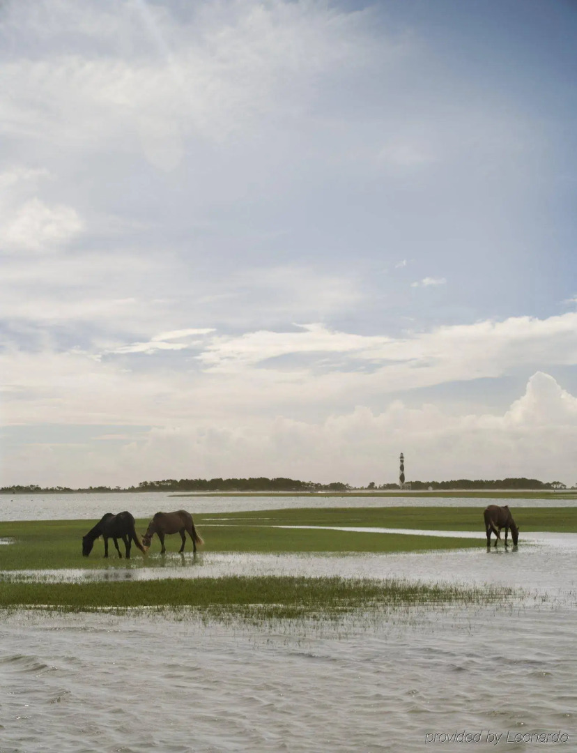 Quality Hotel Morehead City