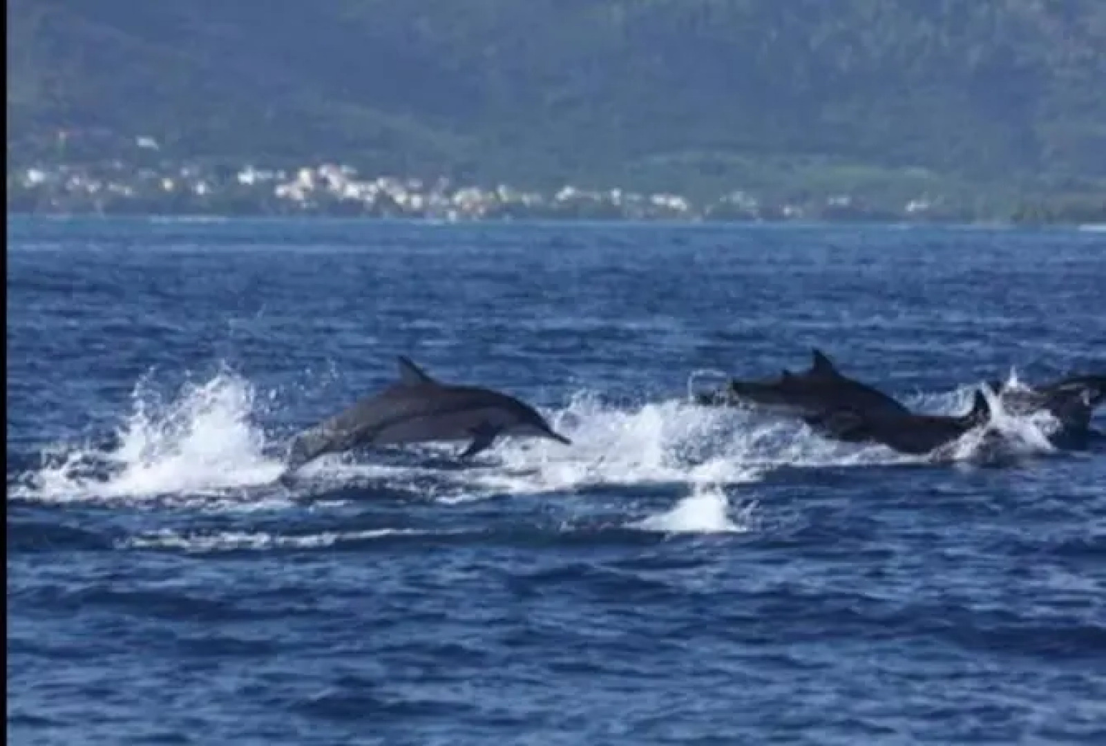 View on Ilot Fourneau