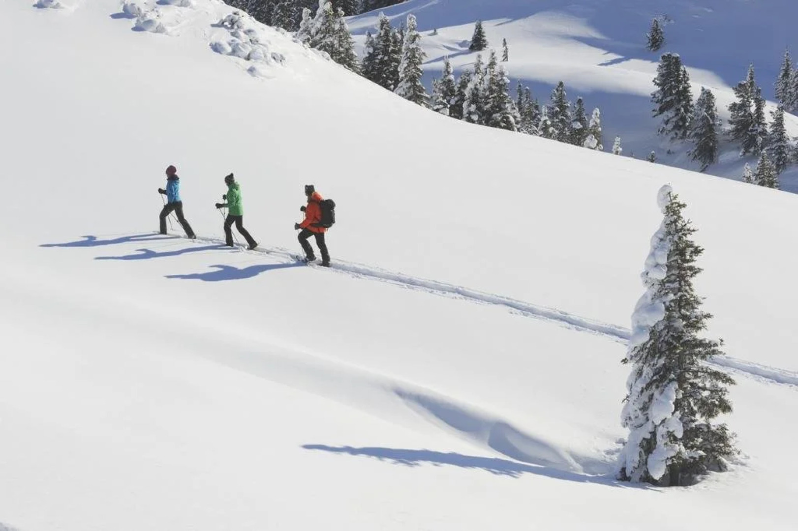 Hotel Pension Rottenau