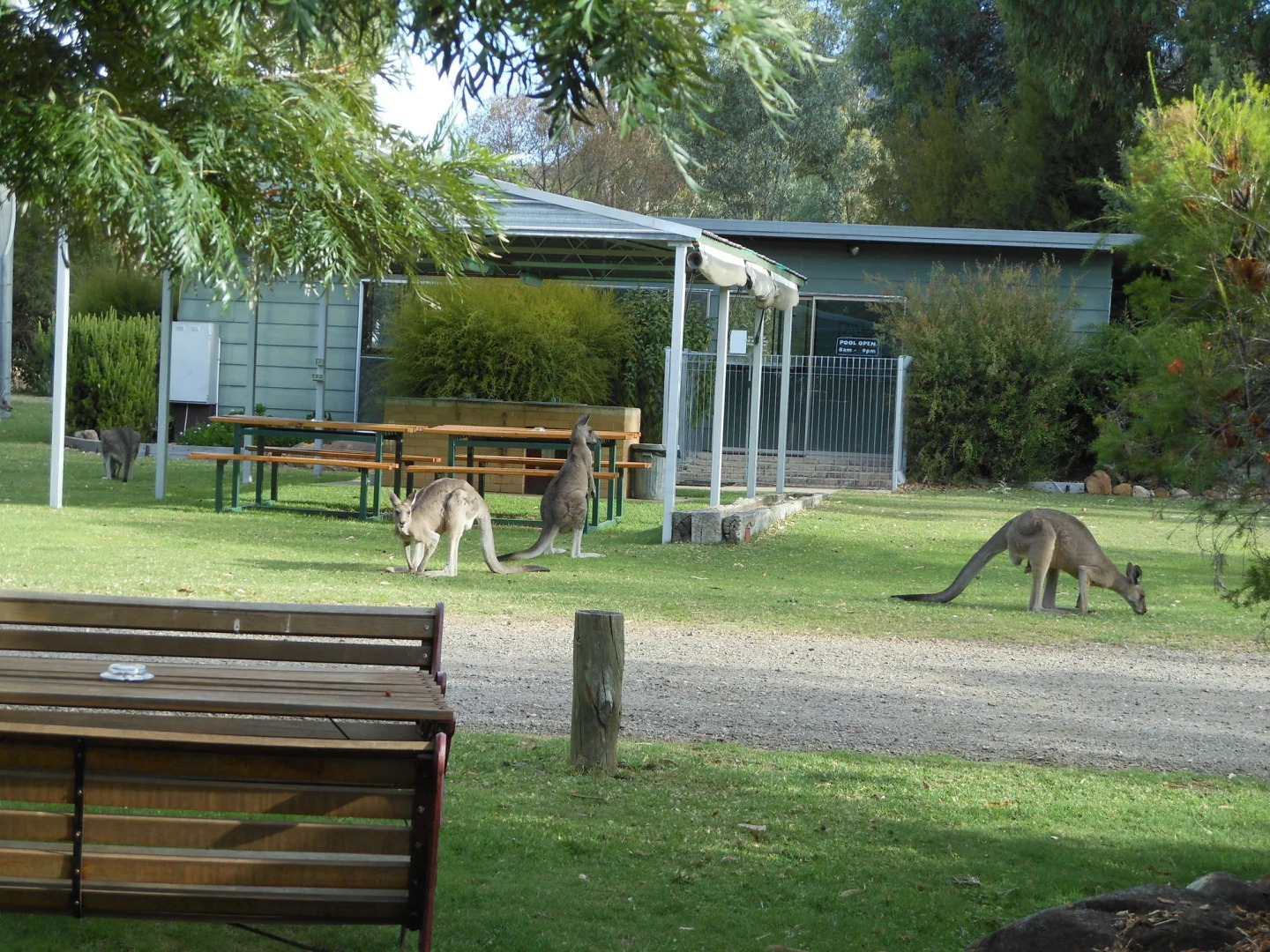 Grampians View Cottages and Units
