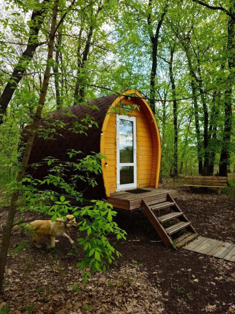 Кемпинг Пискалы