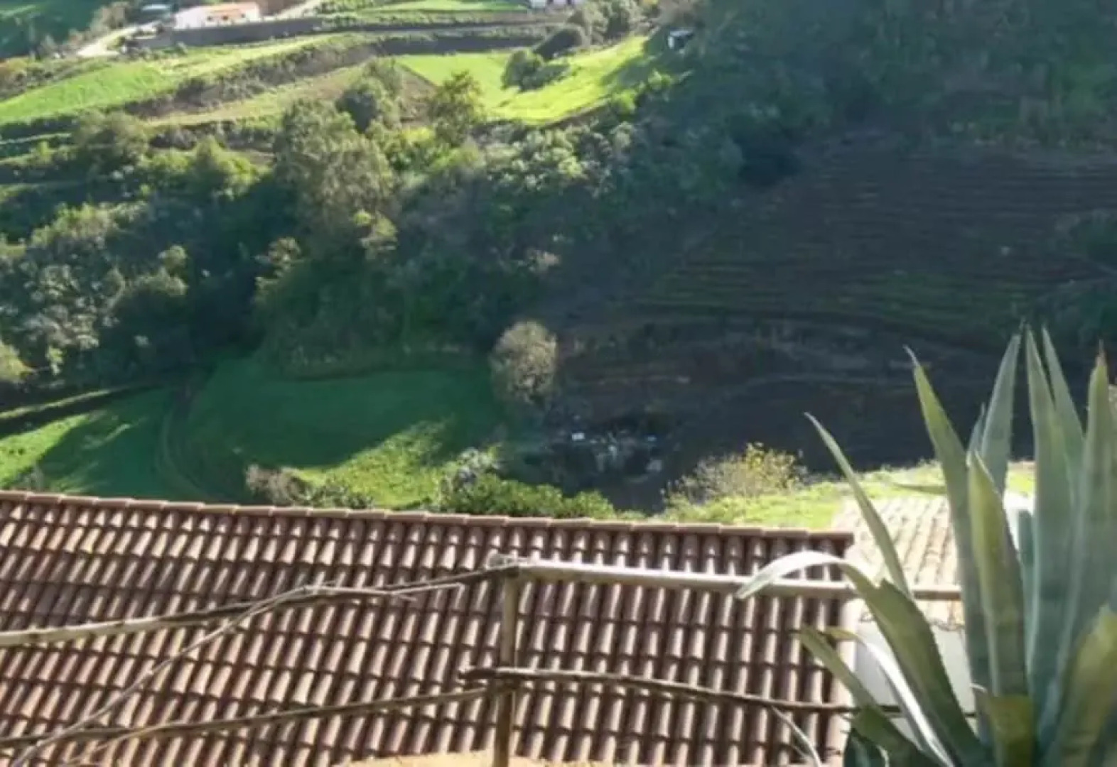 House in Sta. María de Guía, Gran Canarias 102571 by MO Rentals