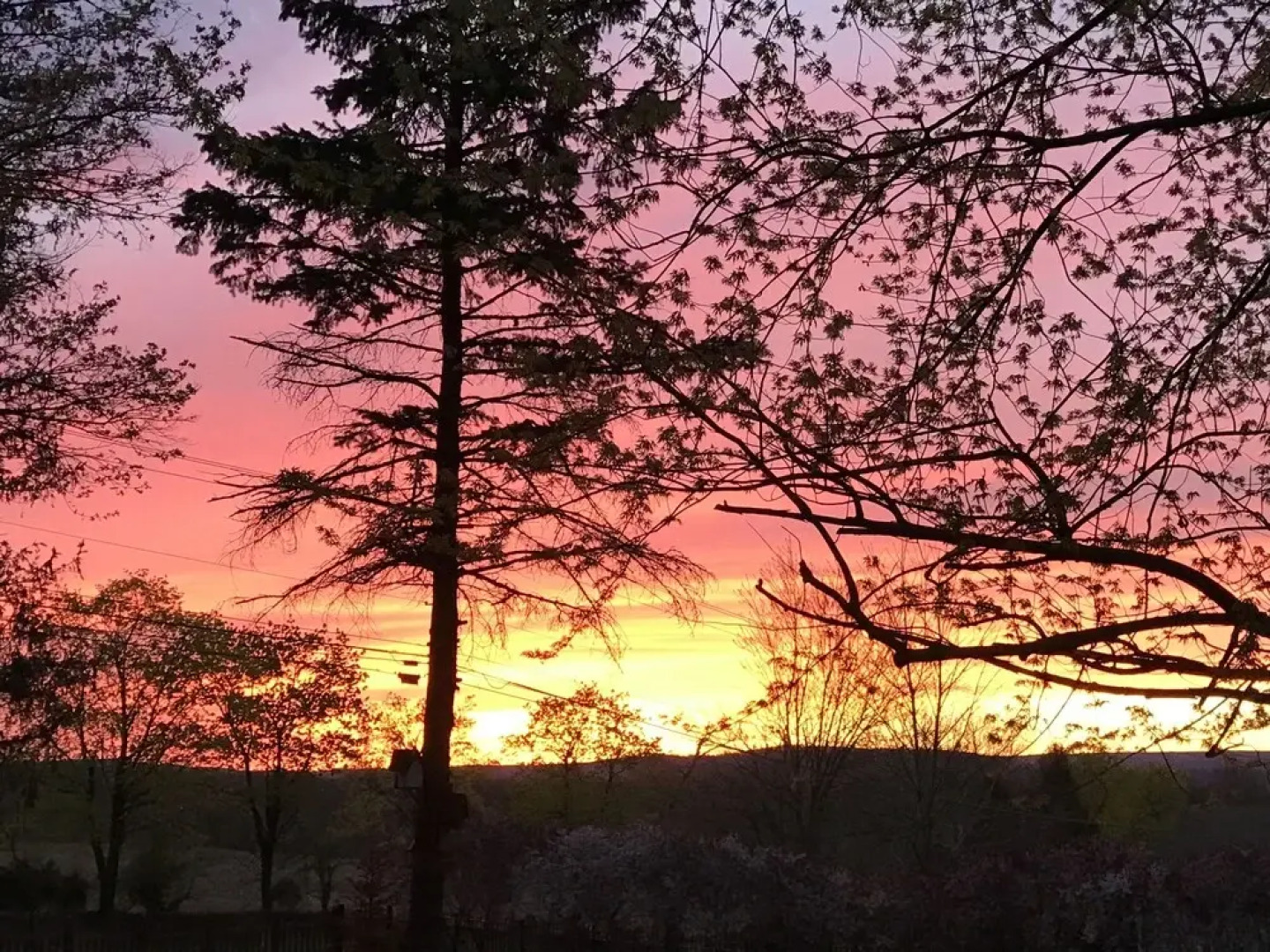 Carriage Stop Bed & Breakfast