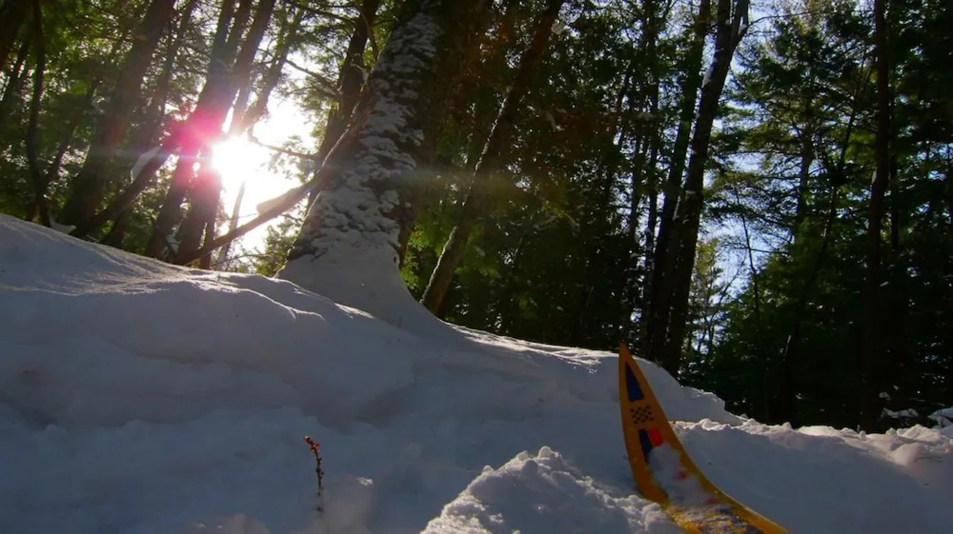 The Arlington Hotel - Hostel