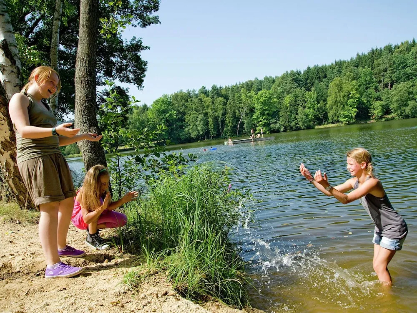 Beautiful Holiday Home in Litschau With Swimming Pool