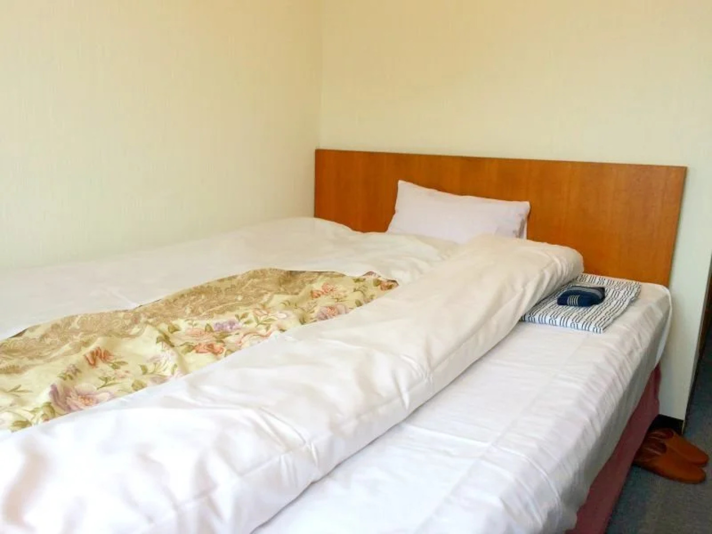 Business Hotel Shimpaku