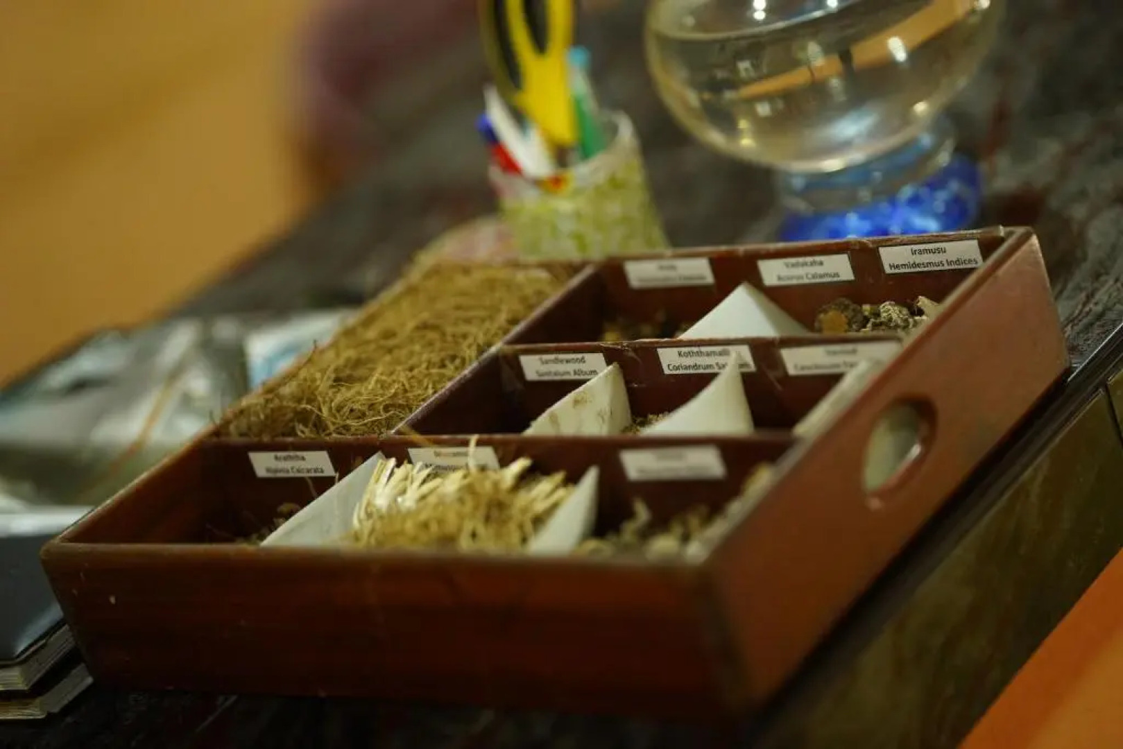 Laluna Ayurveda Resort