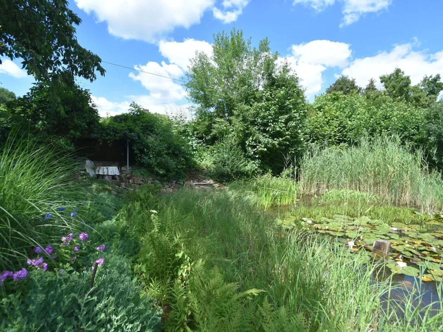 Alluring Holiday Home in Bad Zwesten With Garden