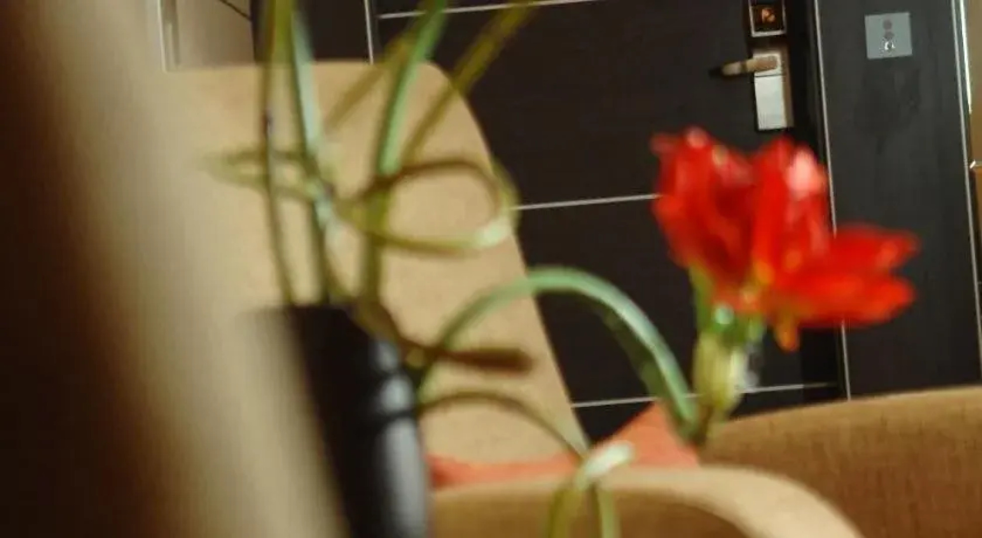 Regency Palace Hotel