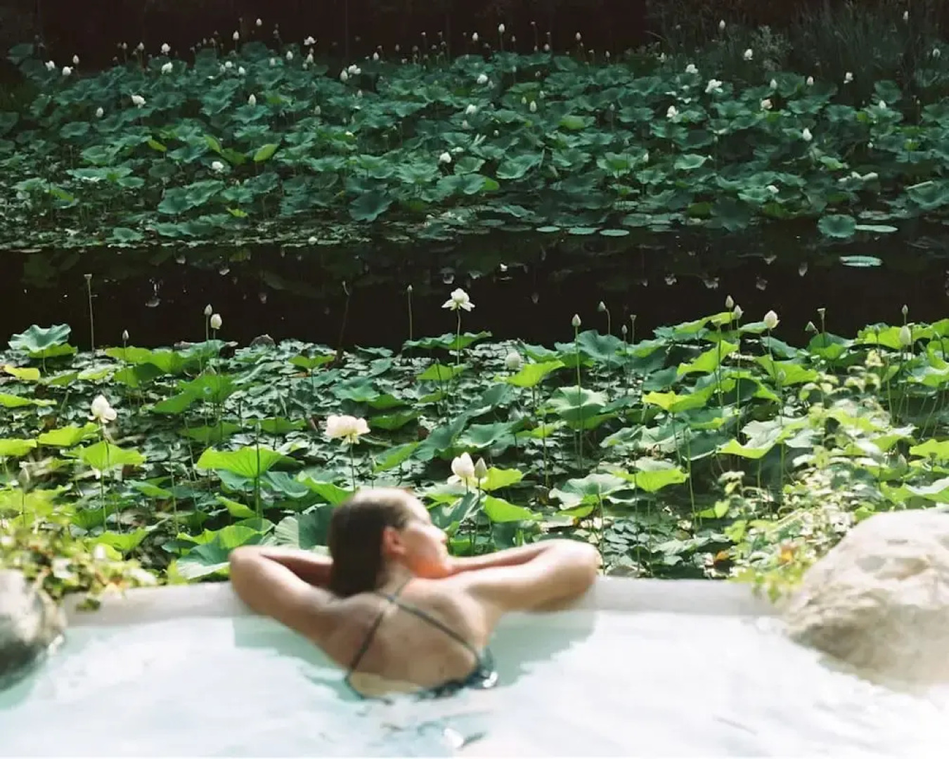 Charming 1BR Suite in Revislate