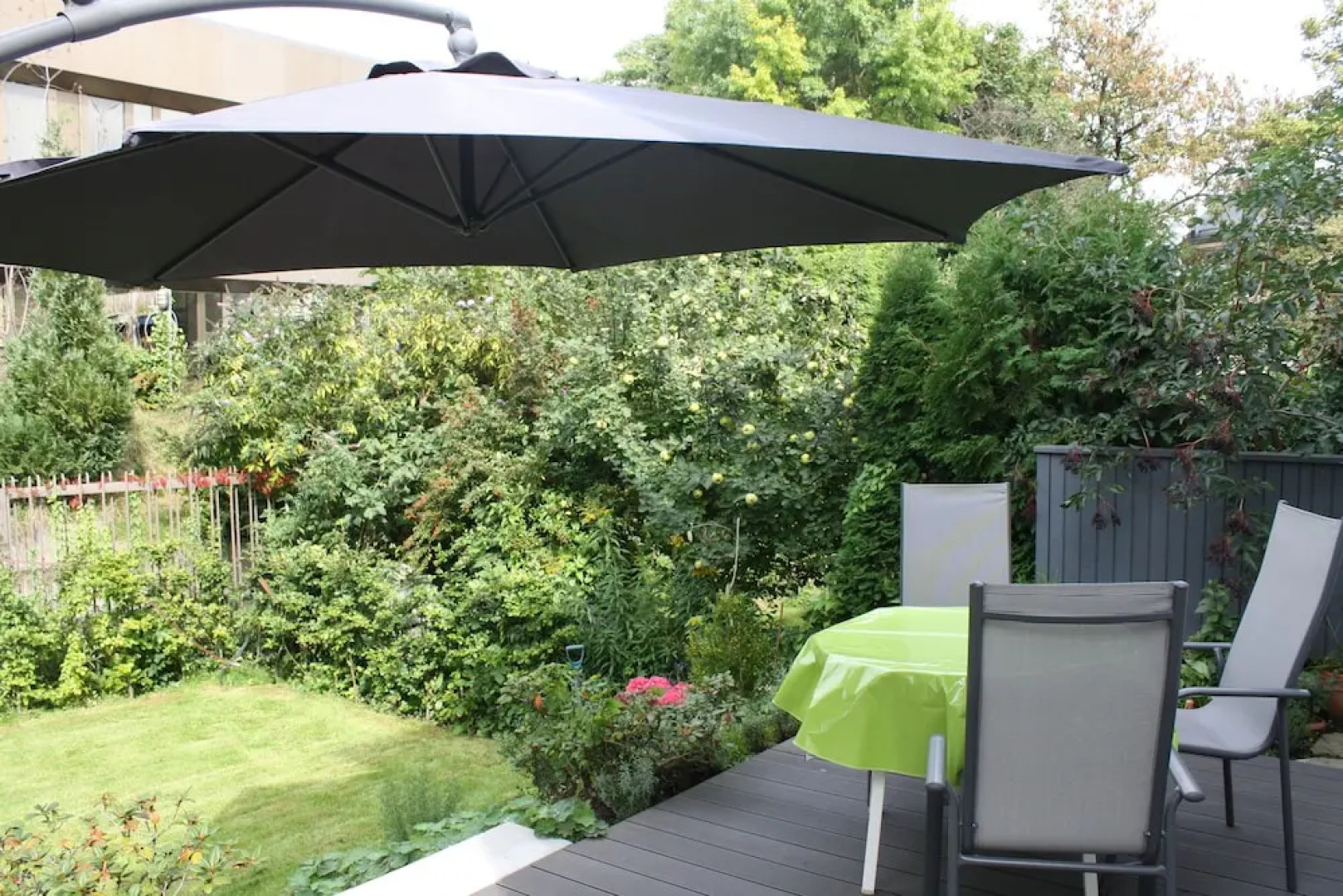 Ferienhaus Bonn Rheinnähe