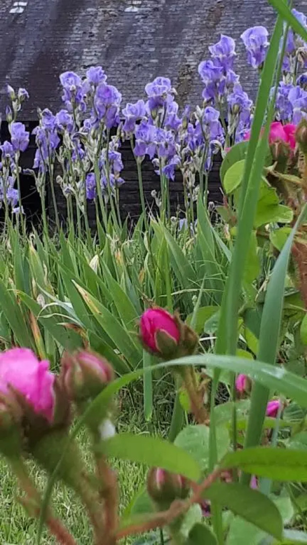 Villa du Cerf Thibault