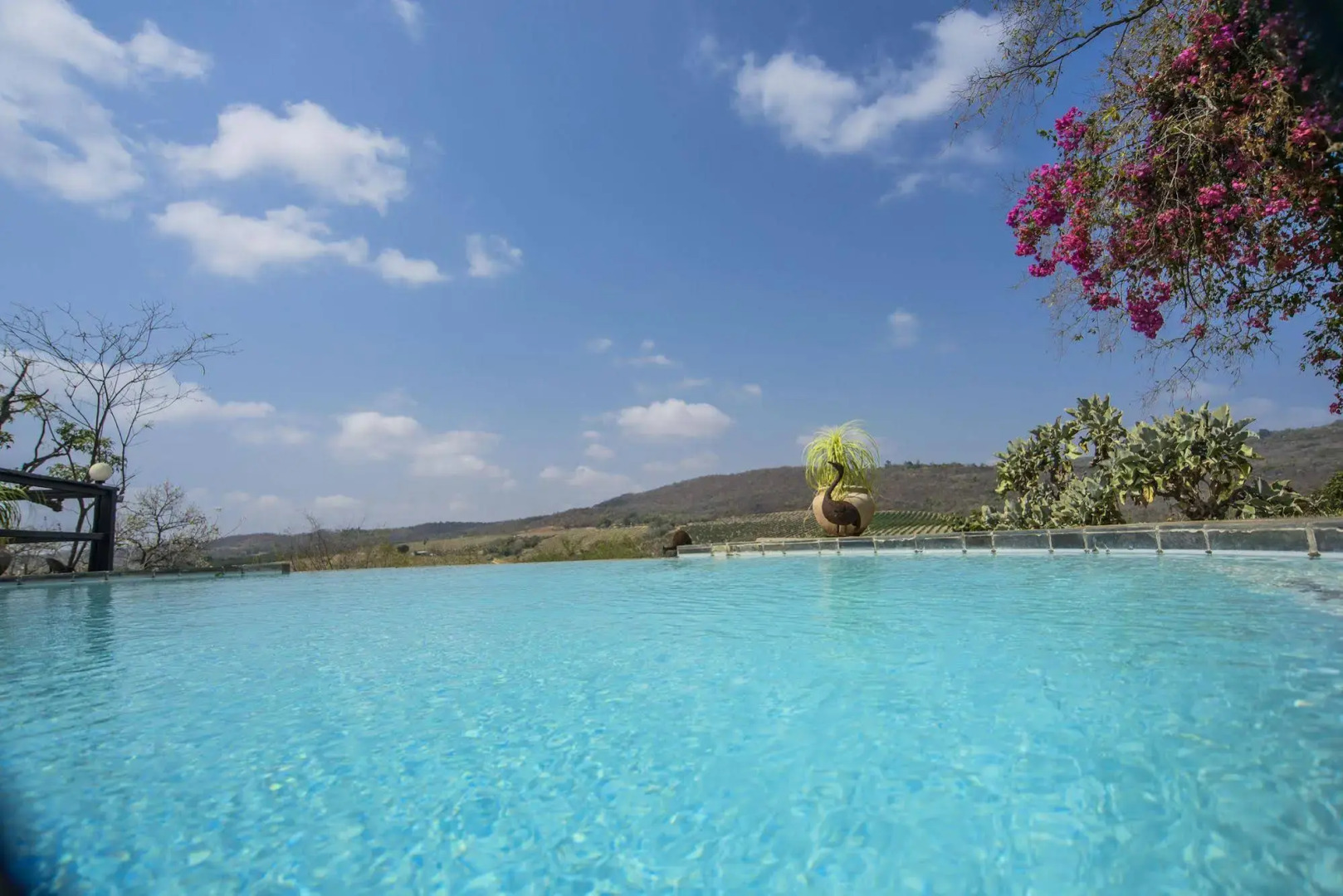 Abangane Guest Lodge