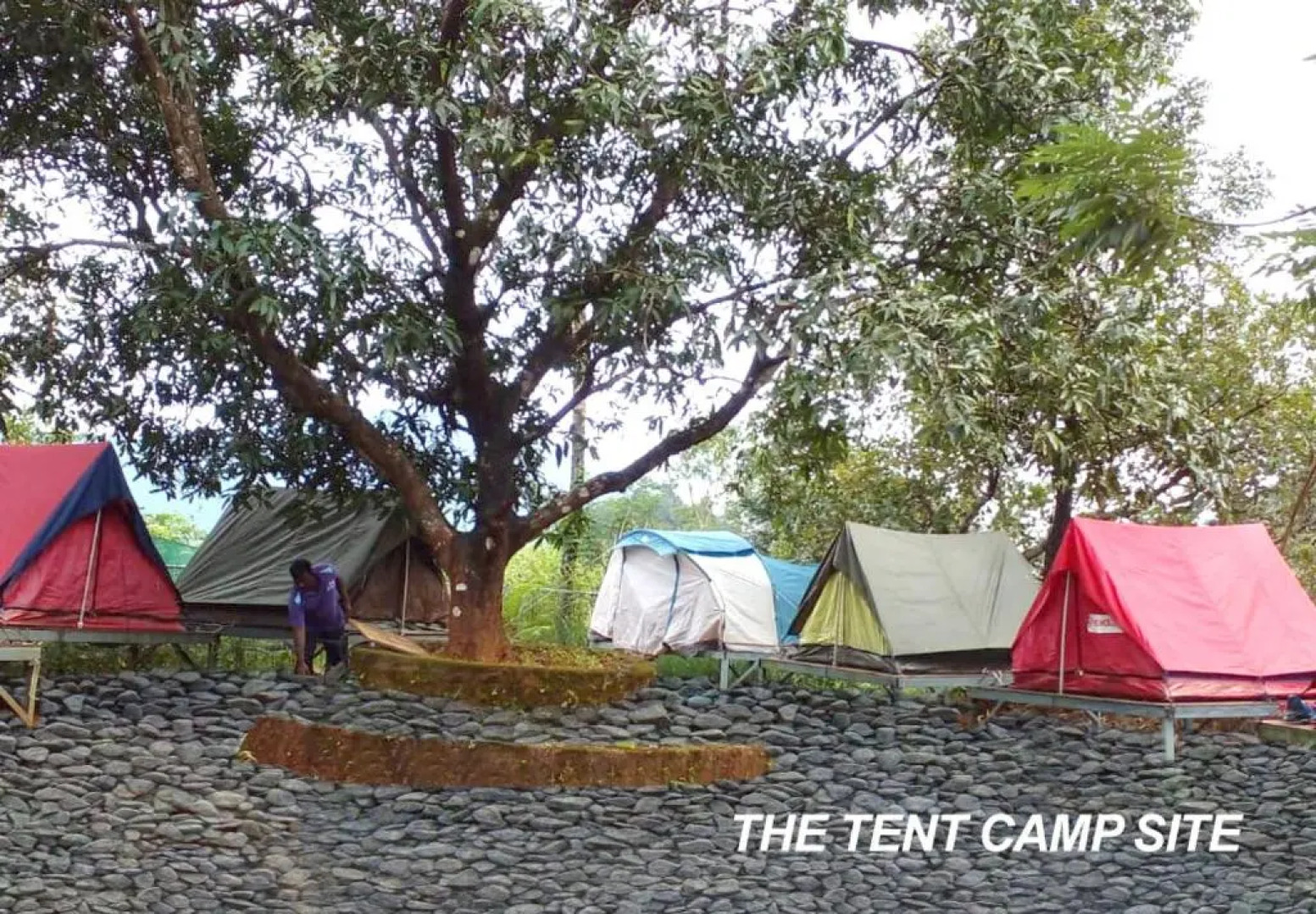 Holistic Stay Eco Resort & Ayurvedic Retreat