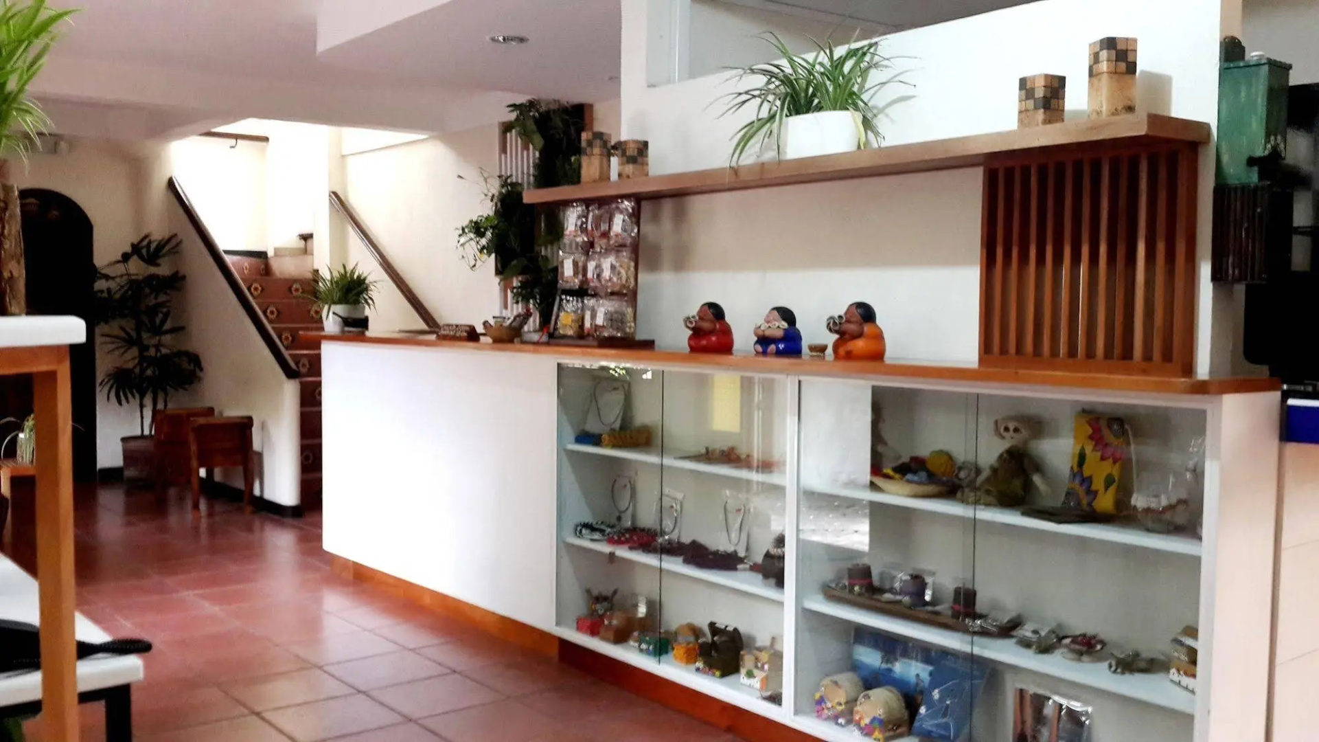 Árbol de Fuego Eco-hotel, a green experience in the city