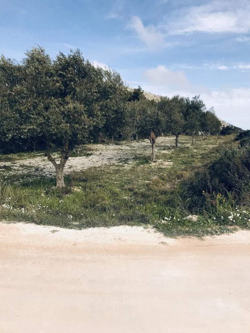 Agallio Nature Resort