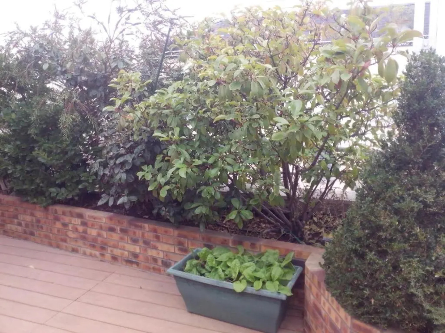 Chambres dhôtes Issy-Paris