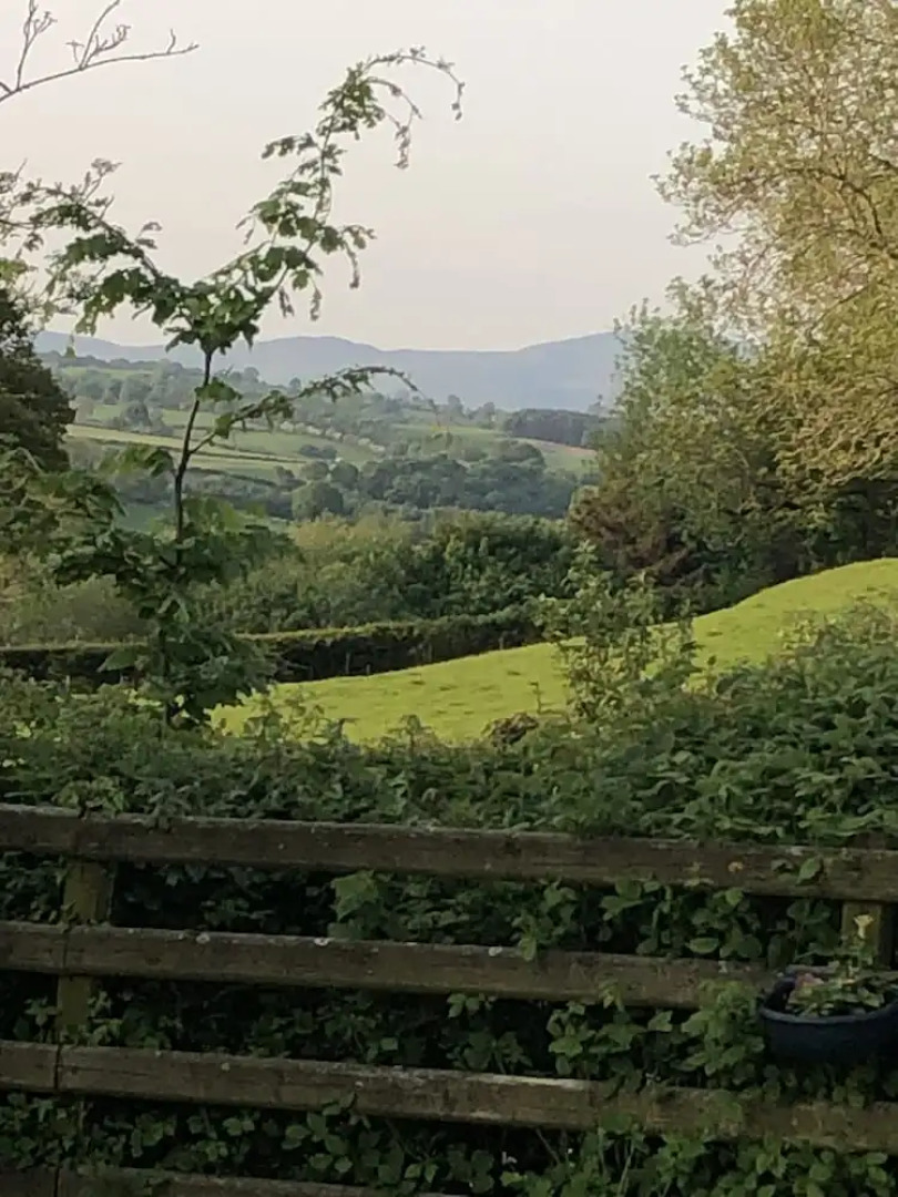 The Peacock Shepherds Hut at Hafoty Boeth