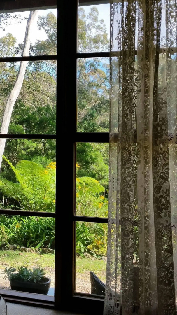 Bellbird Cottage B&B