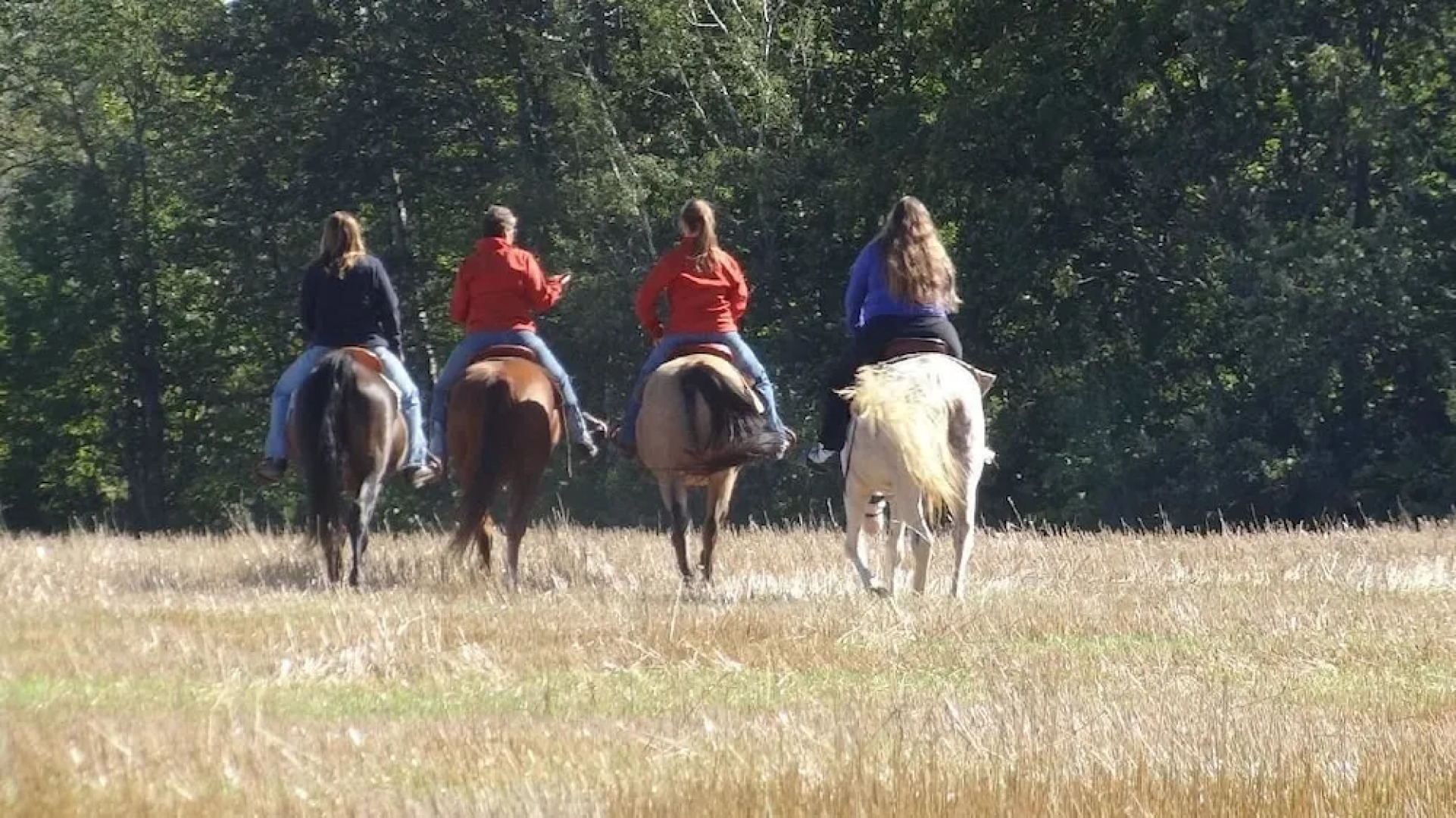 Wilderness Tours Rafting Resort