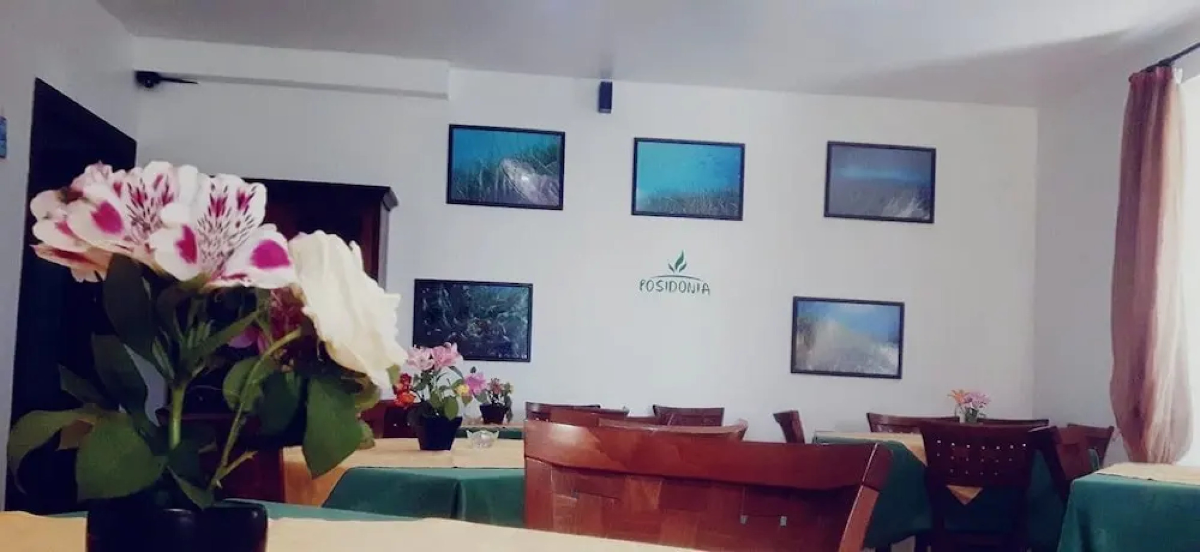 Ristorante B&B Posidonia