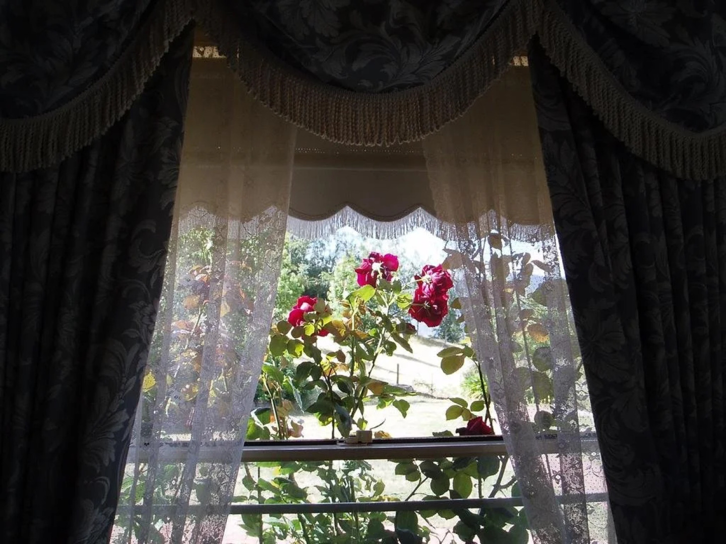 Birches Luxury Spa Chalets