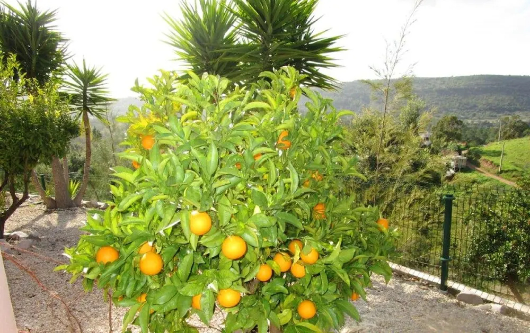 House With one Bedroom in Alte, With Wonderful Mountain View, Private