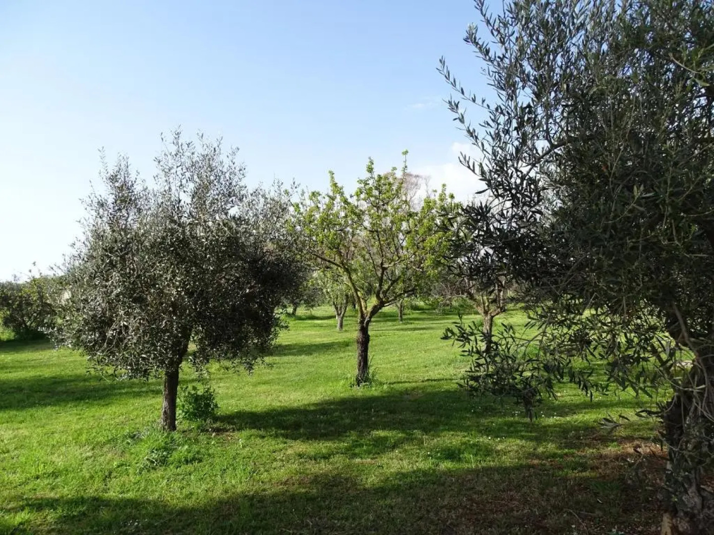 Agriturismo Podere 1248