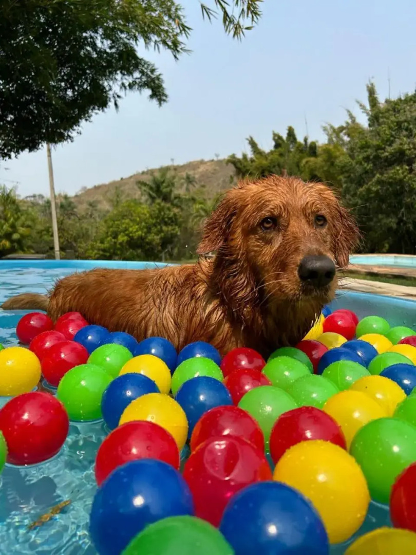 Hotel Pousada Cantinho do Céu