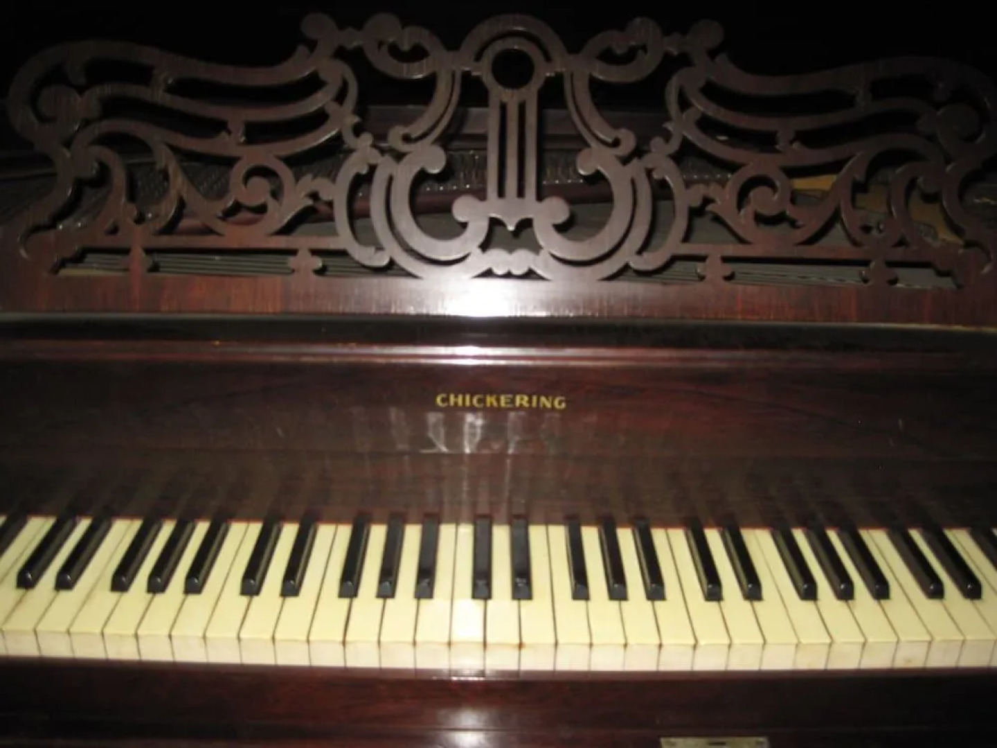 InnBuffalo off Elmwood