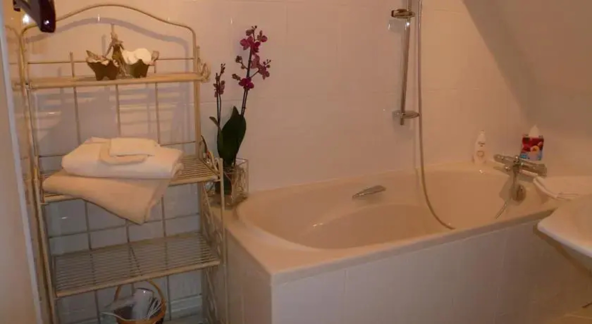 Le Clos de lOrchidée