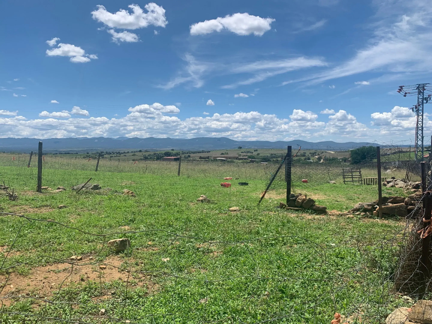 La Almazara de Valdeverdeja