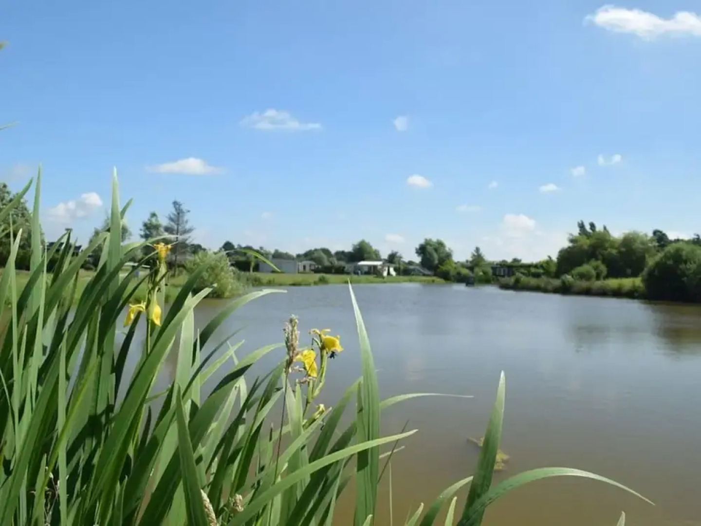 Rural House on Park Near Molenschot