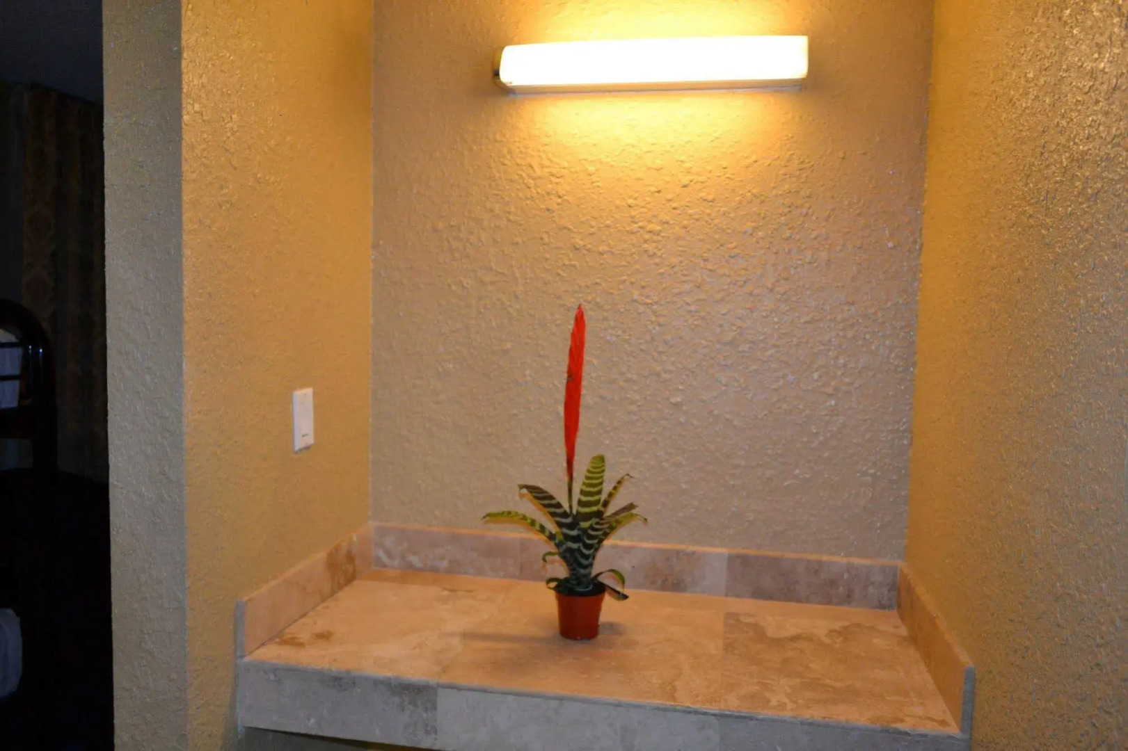 Hostel Network International