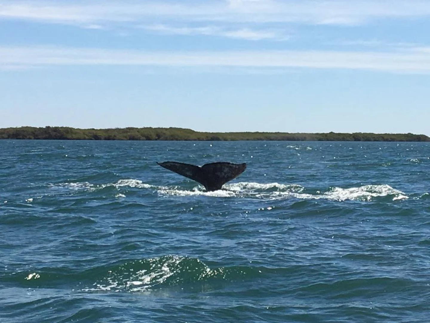 Corbett Guest Suites