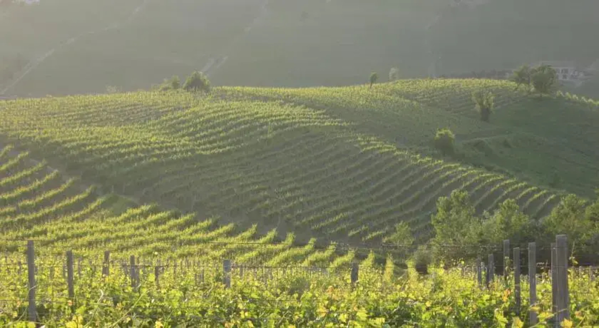Cascina Arzenda