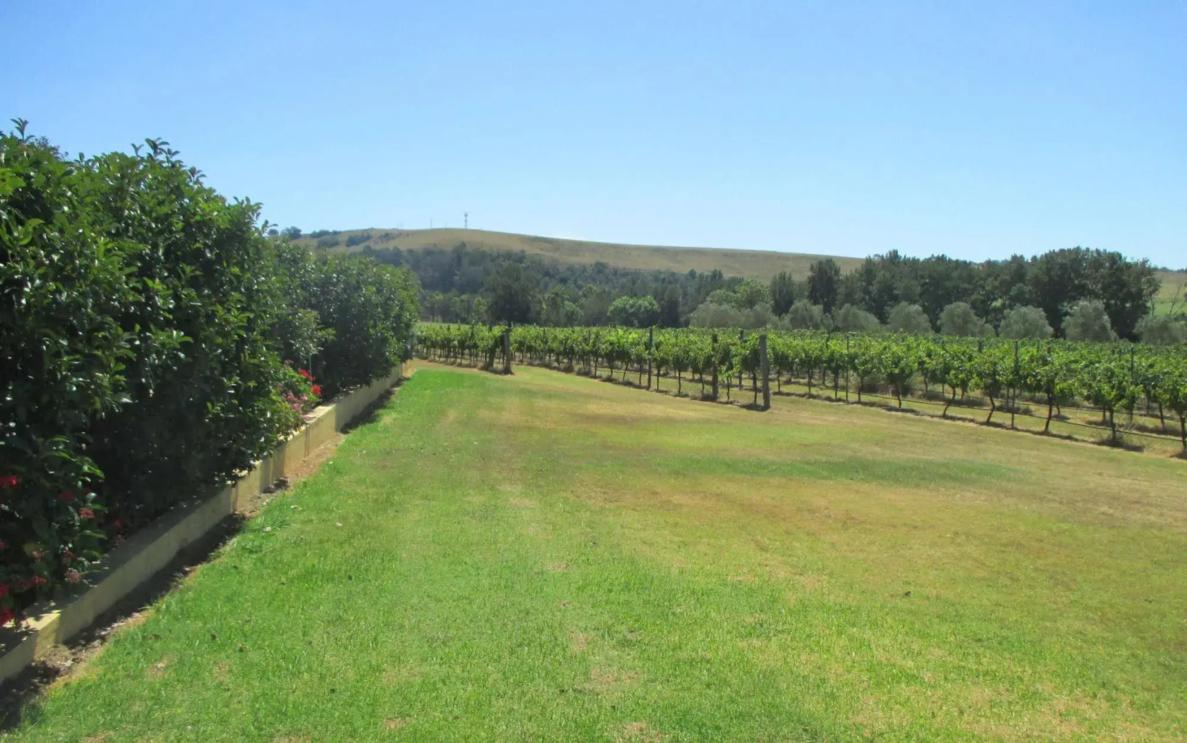 Tranquil Vale Vineyard & Cottages