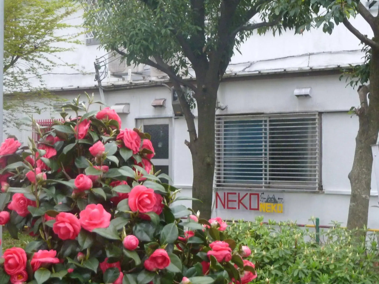 Guesthouse Neko Neko – Hostel