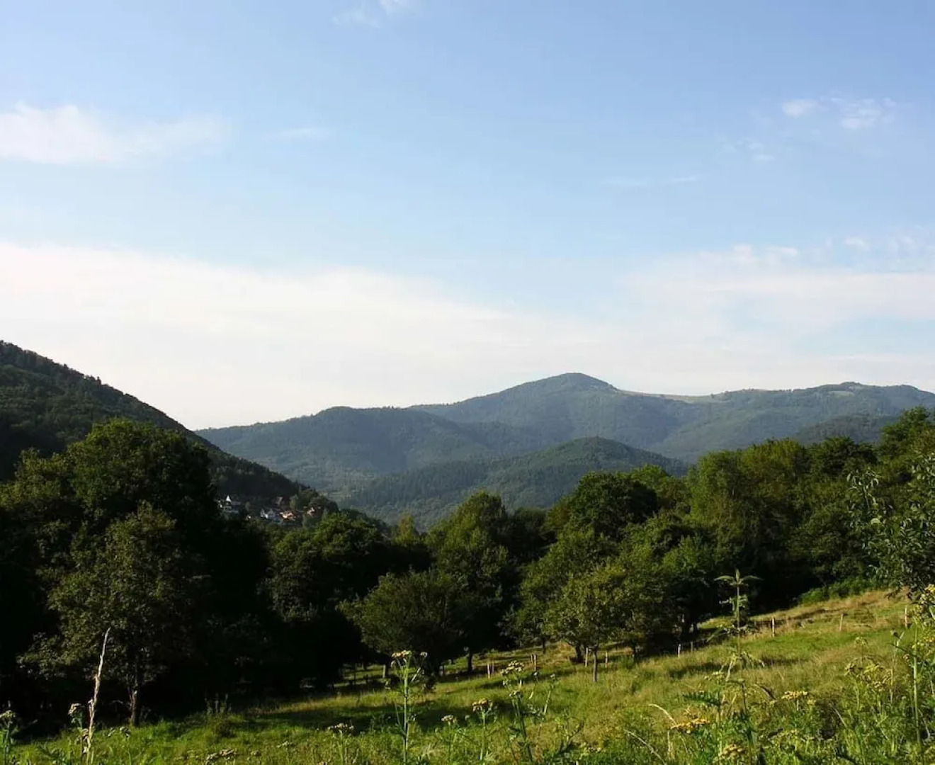 Regisland Gîte Gentiane