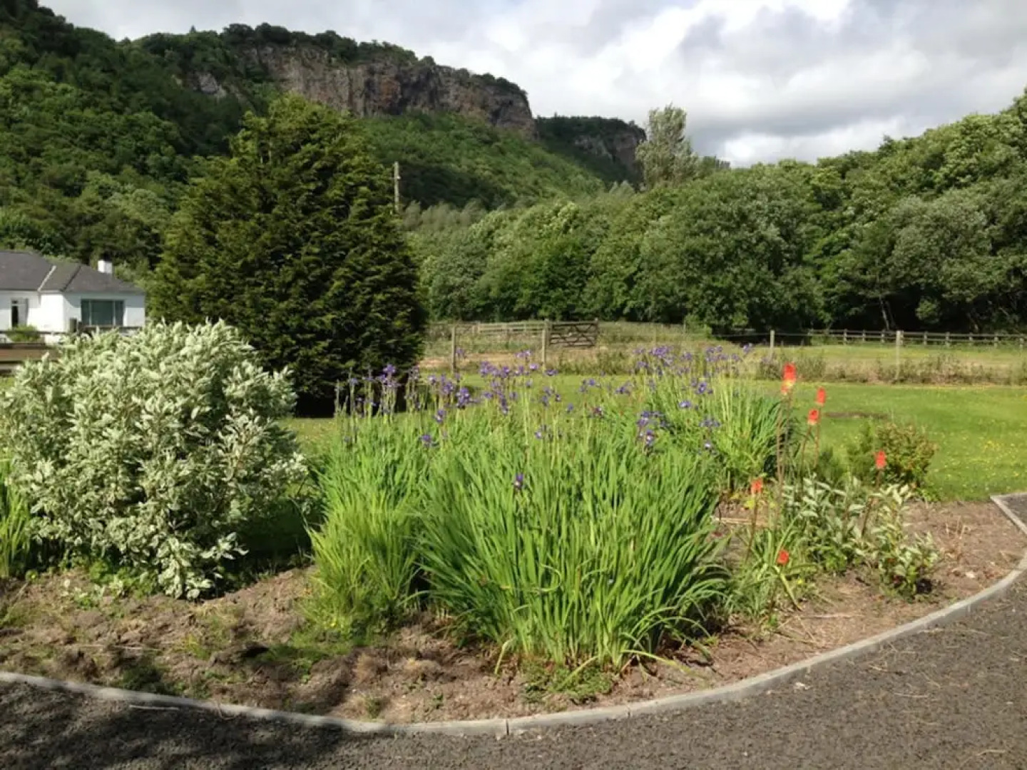 Clover Holidays - Cliff View