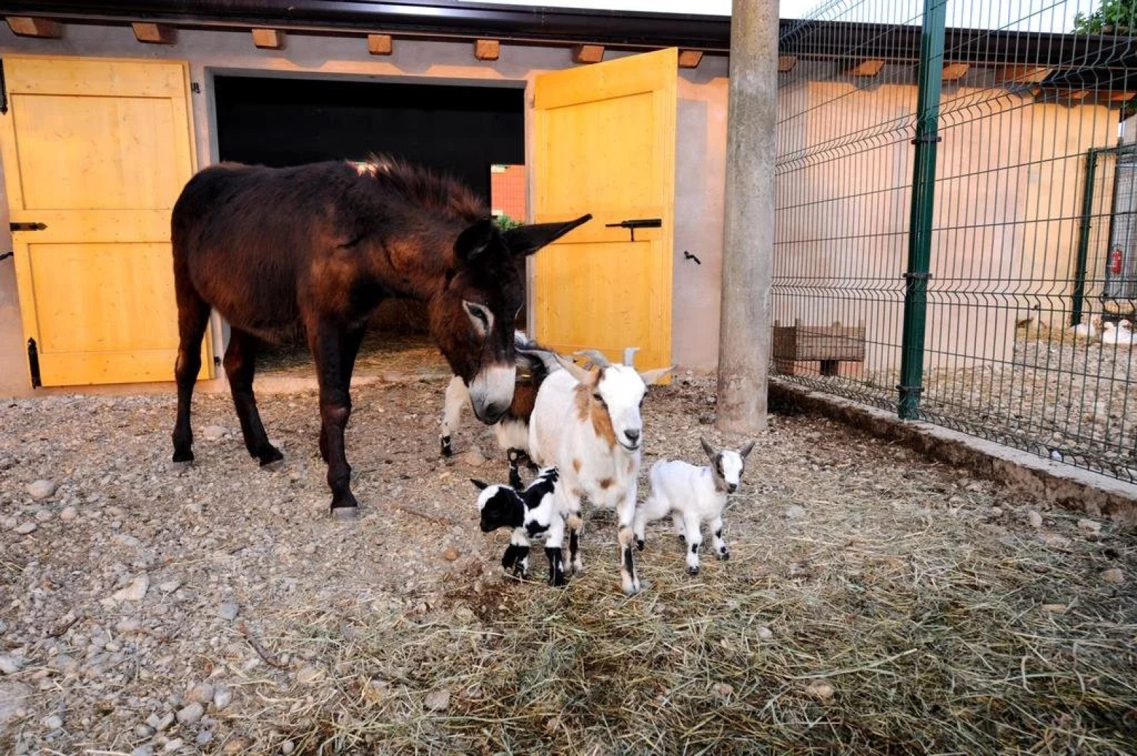 Agriturismo Al Barco
