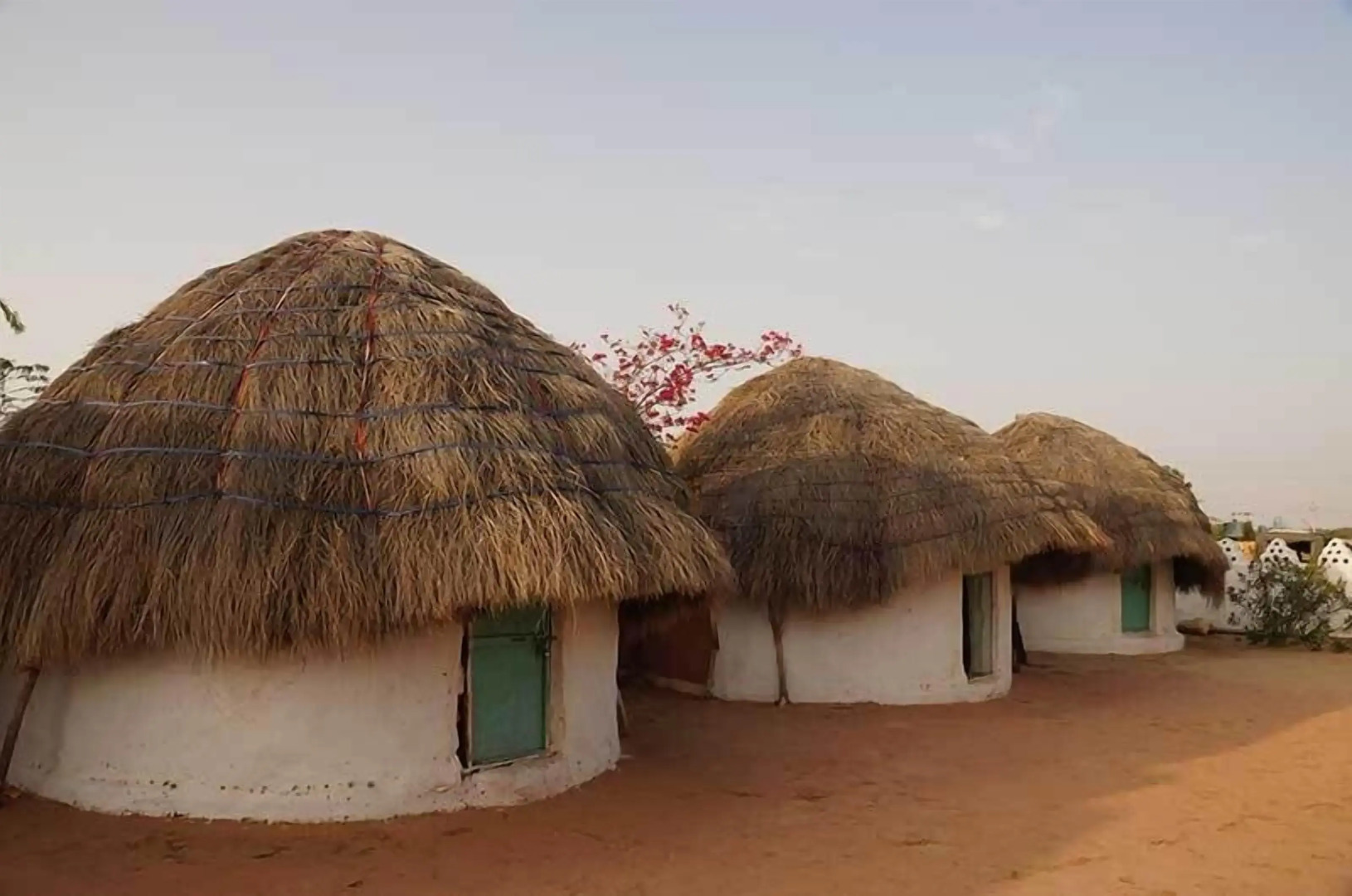 Gangaur Desert Resort By Park Tree