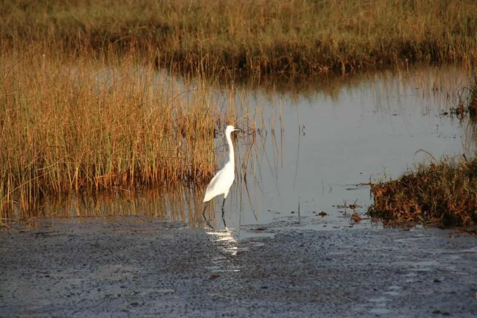 The Island Sanctuary Rock Pool Villa