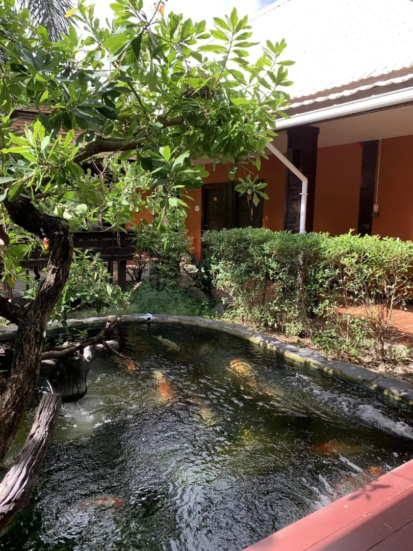 The Old Stay by Sister