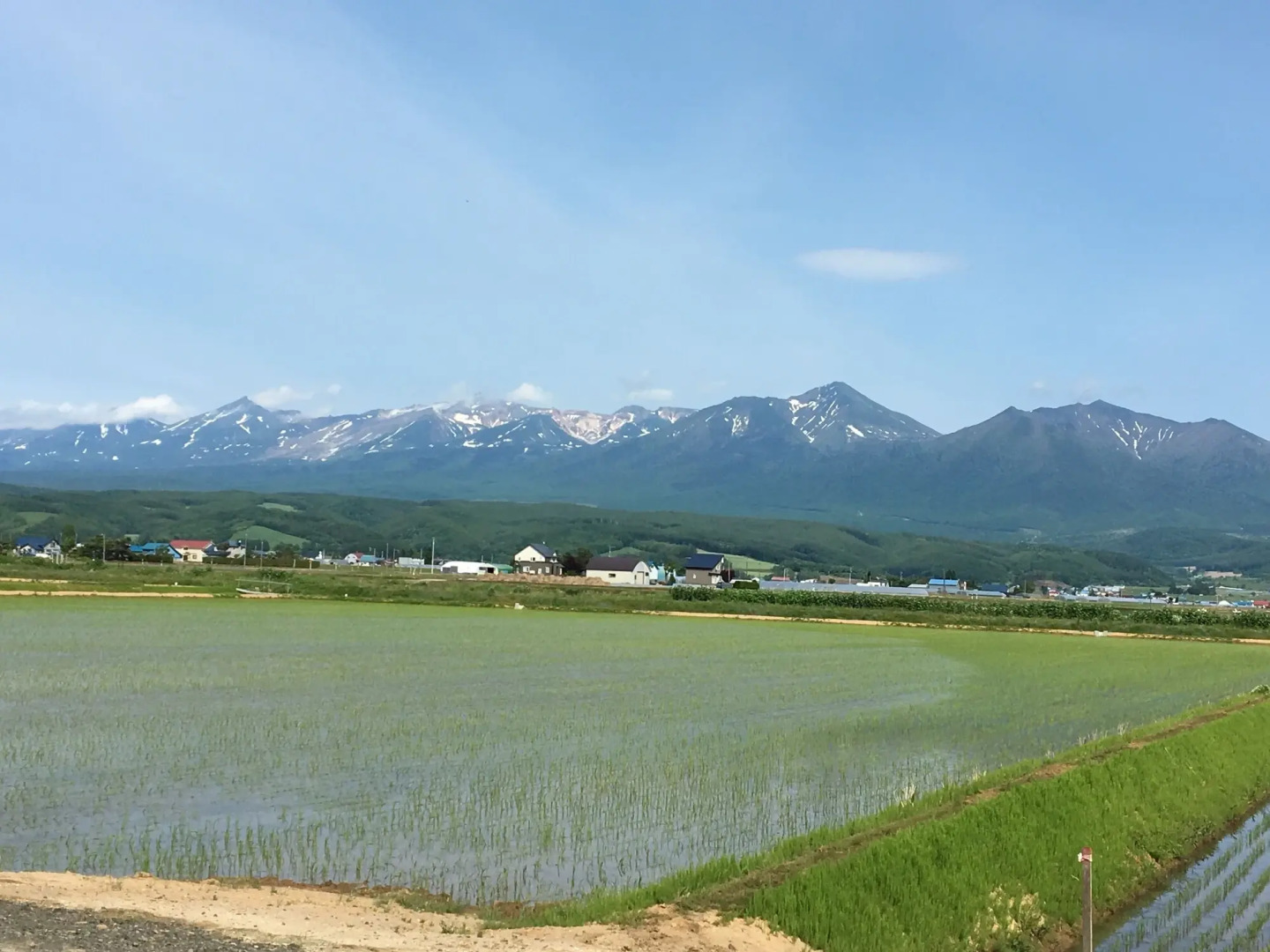 Petit Hotel Blanc Fleur