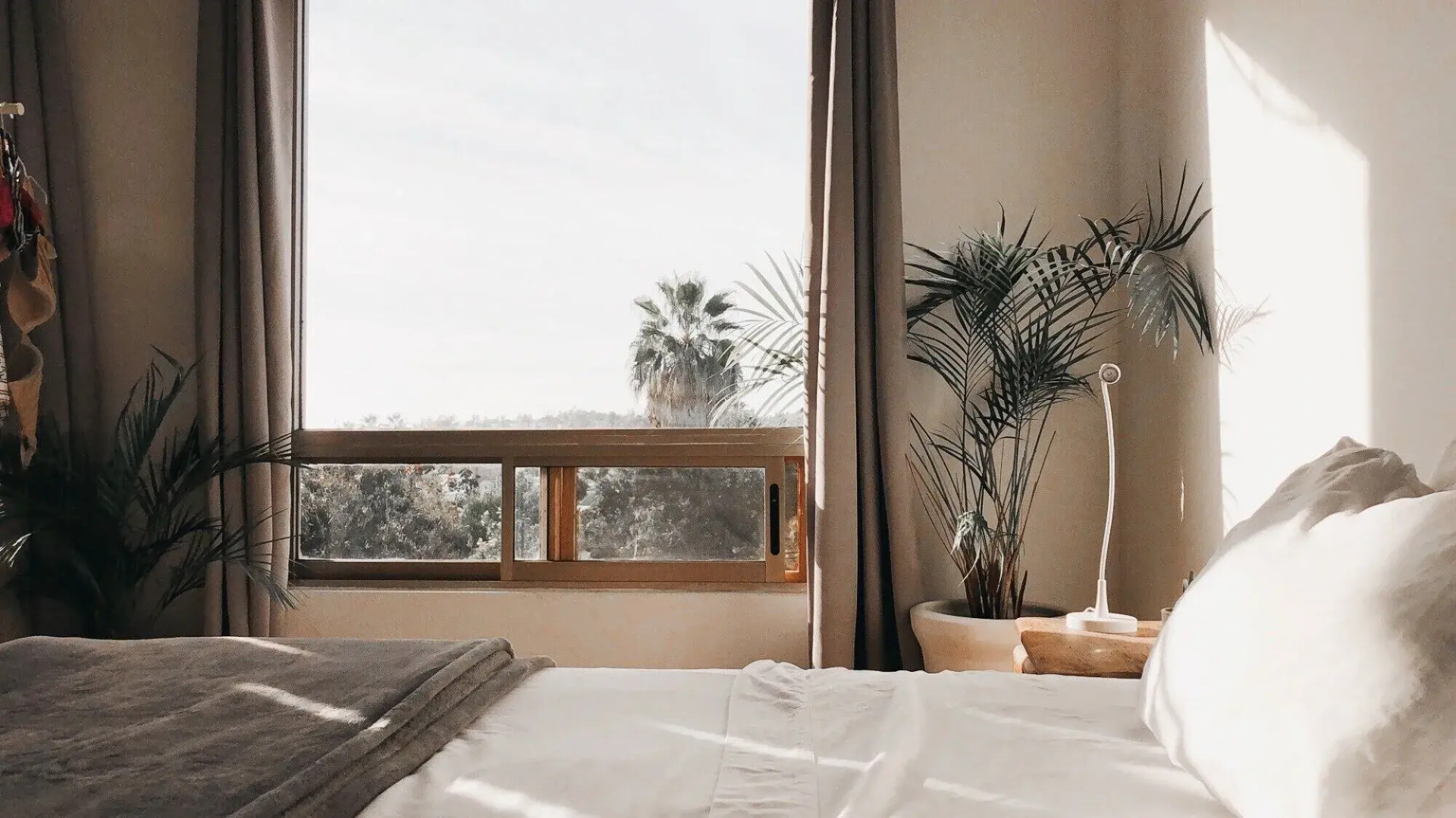 Suite Agaves in Todos Santos
